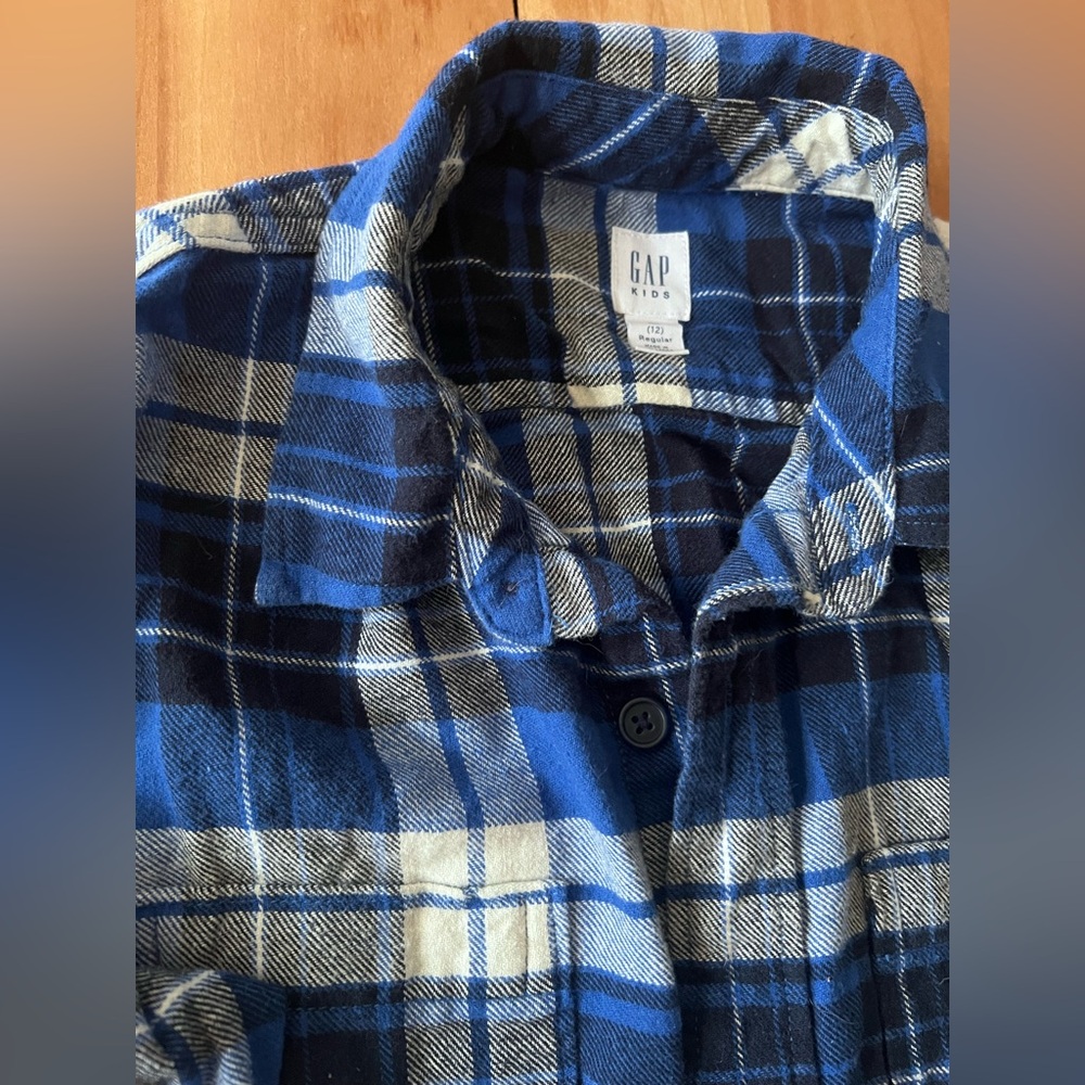 GAP Kids Blue Plaid Button-Up Shirt